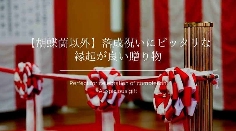 【胡蝶蘭以外】落成祝いにピッタリな 縁起が良い贈り物